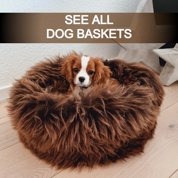 Dog Baskets